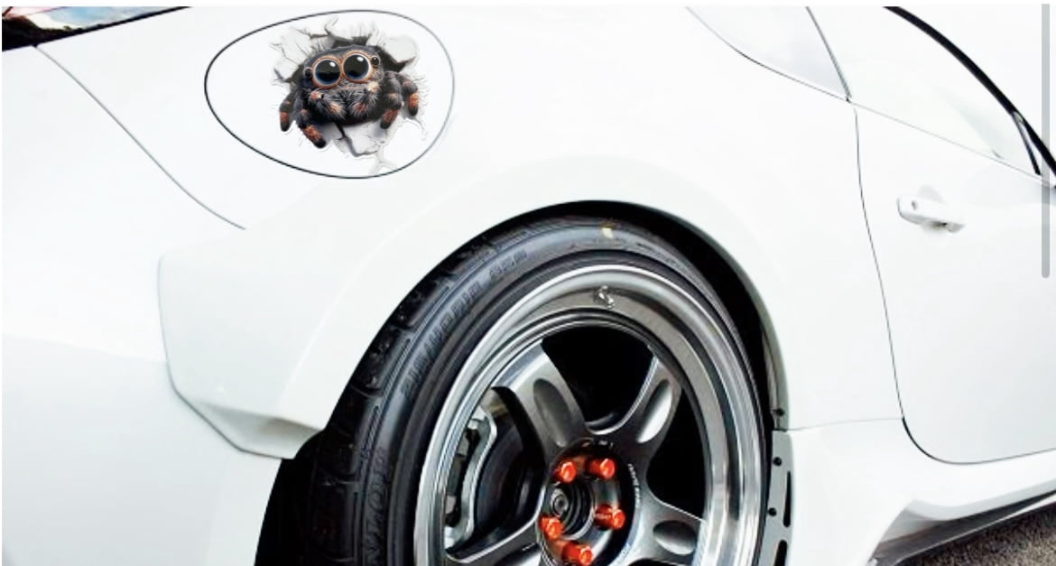 Spider 3D Wall Cracker Unik un - Laptop Unique Accessories ulasan dan harga